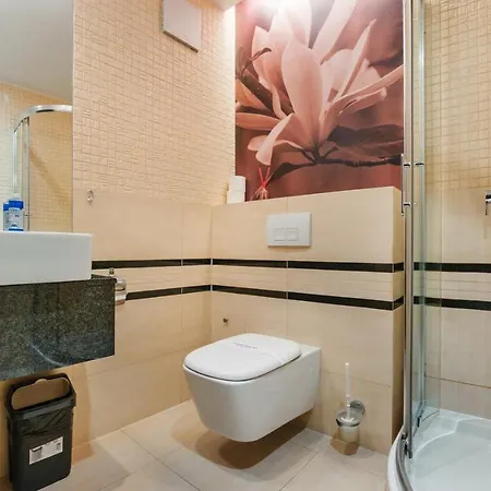 Kosciuszki, Sun & Snow *