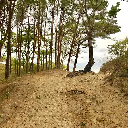 Kosciuszki, Sun & Snow *