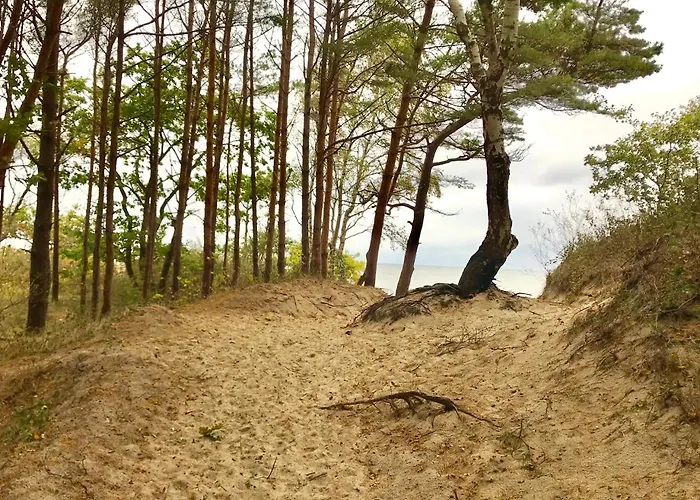 Kosciuszki, Sun & Snow *